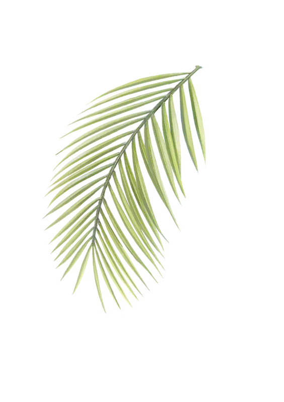 Food and botanical illustration – imaginea 11
