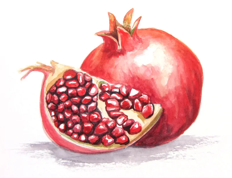 Food and botanical illustration – imaginea 14